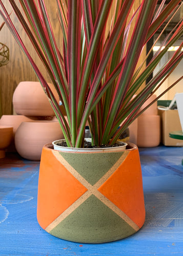 Argyle Planter Carrot and Olive