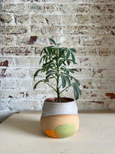 Load image into Gallery viewer, Gourd Planter, Frosty